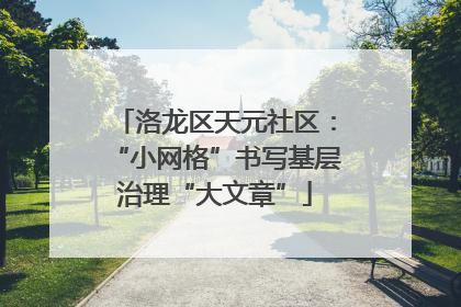 洛龙区天元社区：“小网格”书写基层治理“大文章”
