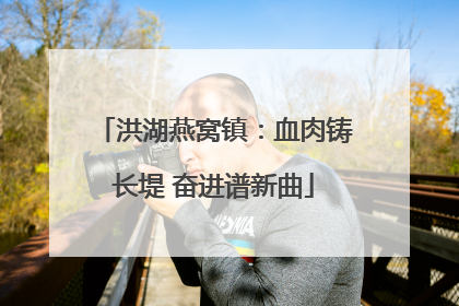 洪湖燕窝镇：血肉铸长堤 奋进谱新曲