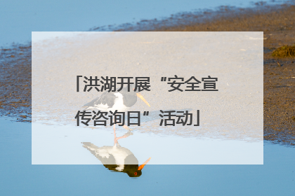 洪湖开展“安全宣传咨询日”活动