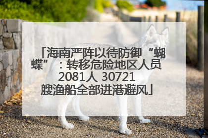 海南严阵以待防御“蝴蝶”：转移危险地区人员2081人 30721艘渔船全部进港避风