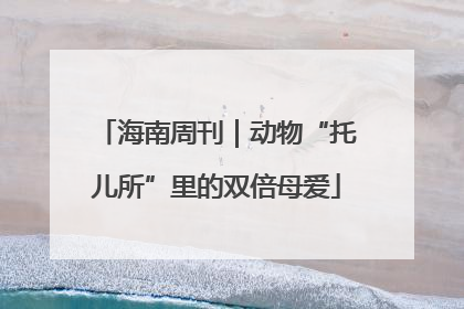 海南周刊｜动物“托儿所”里的双倍母爱