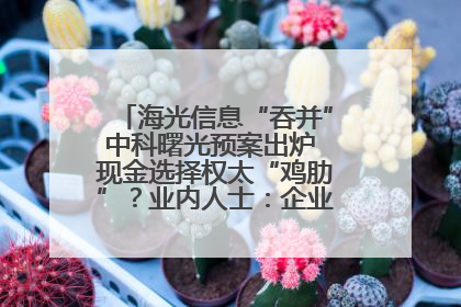 海光信息“吞并”中科曙光预案出炉 现金选择权太“鸡肋”？业内人士：企业不想大量现金流出