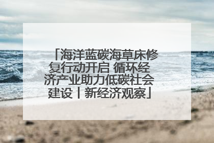 海洋蓝碳海草床修复行动开启 循环经济产业助力低碳社会建设丨新经济观察