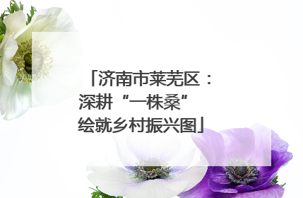济南市莱芜区：深耕“一株桑” 绘就乡村振兴图