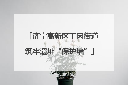 济宁高新区王因街道筑牢遗址“保护墙”