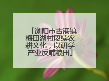 浏阳市古港镇梅田湖村赓续农耕文化，以研学产业反哺粮田