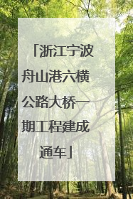 浙江宁波舟山港六横公路大桥一期工程建成通车