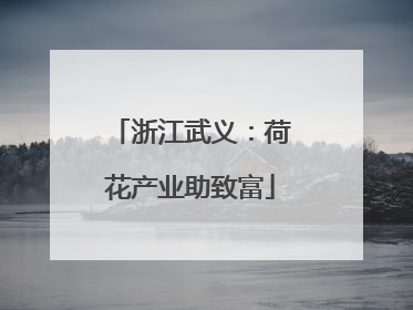浙江武义：荷花产业助致富