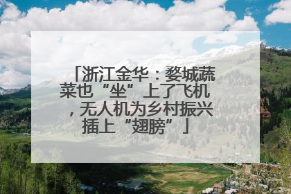 浙江金华：婺城蔬菜也“坐”上了飞机，无人机为乡村振兴插上“翅膀”