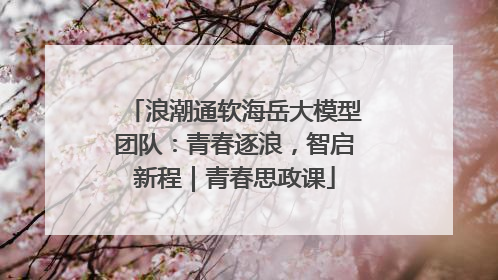 浪潮通软海岳大模型团队：青春逐浪，智启新程｜青春思政课