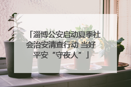 淄博公安启动夏季社会治安清查行动 当好平安“守夜人”