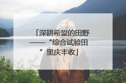 深耕希望的田野——“综合试验田”里庆丰收