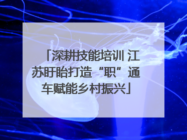 深耕技能培训 江苏盱眙打造“职”通车赋能乡村振兴