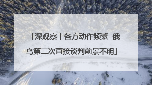 深观察丨各方动作频繁  俄乌第二次直接谈判前景不明