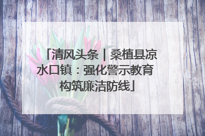 清风头条｜桑植县凉水口镇：强化警示教育 构筑廉洁防线