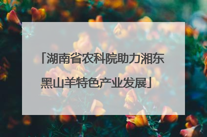 湖南省农科院助力湘东黑山羊特色产业发展