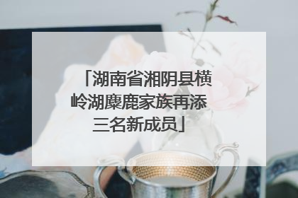 湖南省湘阴县横岭湖麋鹿家族再添三名新成员