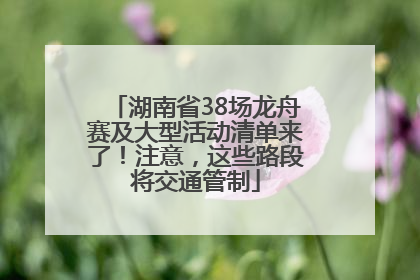 湖南省38场龙舟赛及大型活动清单来了！注意，这些路段将交通管制
