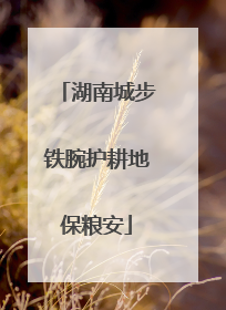 湖南城步铁腕护耕地保粮安