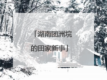湖南团洲垸的田家新事
