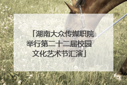 湖南大众传媒职院举行第二十二届校园文化艺术节汇演