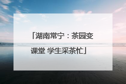 湖南常宁：茶园变课堂 学生采茶忙
