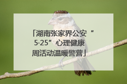 湖南张家界公安“5·25”心理健康周活动温暖警营