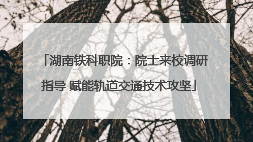 湖南铁科职院：院士来校调研指导 赋能轨道交通技术攻坚