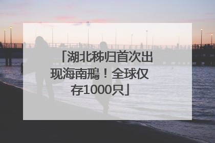 湖北秭归首次出现海南鳽！全球仅存1000只