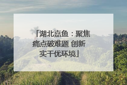 湖北嘉鱼：聚焦痛点破难题 创新实干优环境