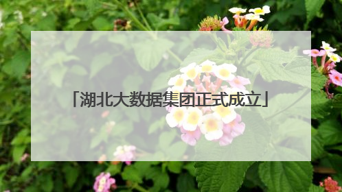 湖北大数据集团正式成立