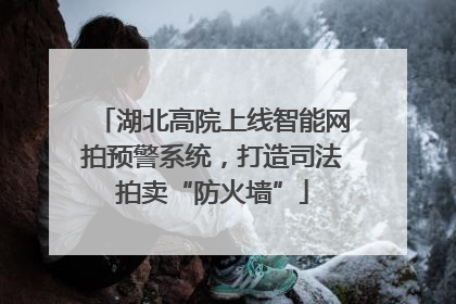 湖北高院上线智能网拍预警系统，打造司法拍卖“防火墙”