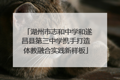 湖州市志和中学和遂昌县第三中学携手打造体教融合实践新样板