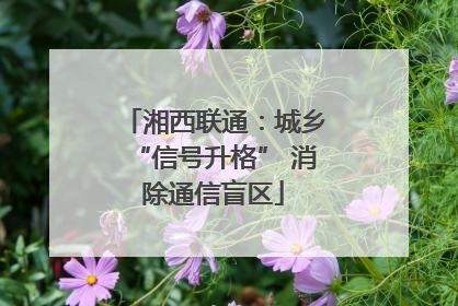 湘西联通：城乡“信号升格” 消除通信盲区