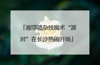 湘鄂赣杂技魔术“派对”在长沙热闹开场