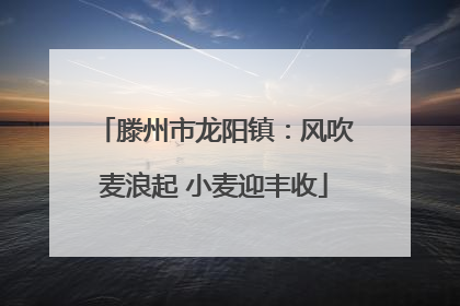 滕州市龙阳镇：风吹麦浪起 小麦迎丰收