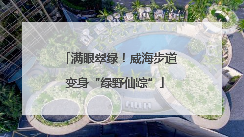 满眼翠绿！威海步道变身“绿野仙踪”