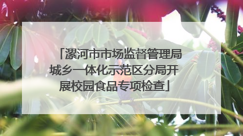 漯河市市场监督管理局城乡一体化示范区分局开展校园食品专项检查