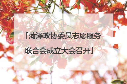 菏泽政协委员志愿服务联合会成立大会召开