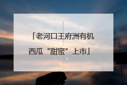 老河口王府洲有机西瓜“甜蜜”上市