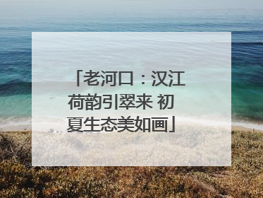 老河口：汉江荷韵引翠来 初夏生态美如画