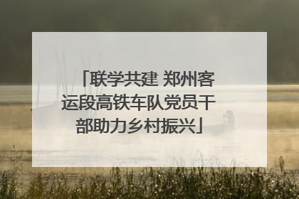 联学共建 郑州客运段高铁车队党员干部助力乡村振兴
