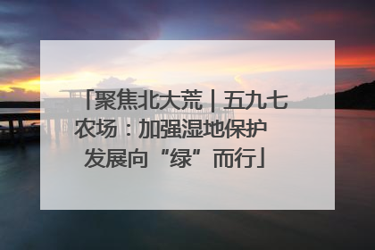 聚焦北大荒｜五九七农场：加强湿地保护 发展向“绿”而行
