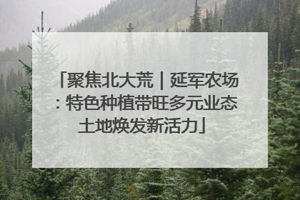 聚焦北大荒｜延军农场：特色种植带旺多元业态 土地焕发新活力