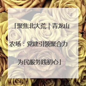 聚焦北大荒｜青龙山农场：党建引领聚合力 为民服务践初心