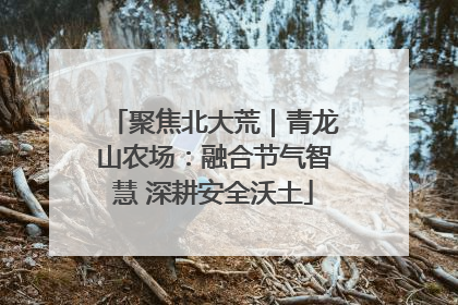 聚焦北大荒｜青龙山农场：融合节气智慧 深耕安全沃土