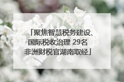 聚焦智慧税务建设、国际税收治理 29名非洲财税官湖南取经