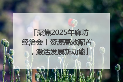 聚焦2025年廊坊经洽会丨资源高效配置，激活发展新动能