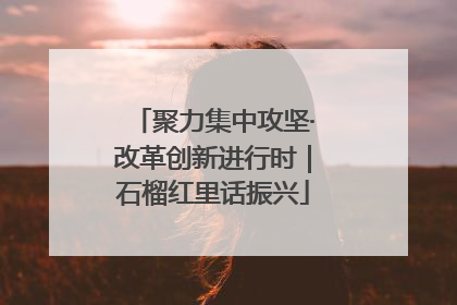 聚力集中攻坚·改革创新进行时｜石榴红里话振兴