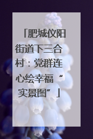 肥城仪阳街道下三合村：党群连心绘幸福“实景图”